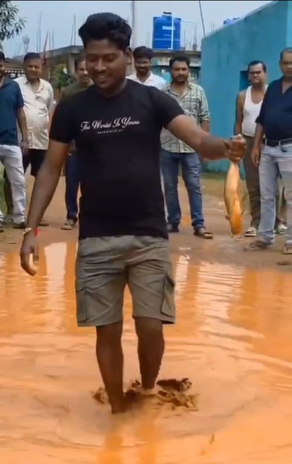 गडढों में मछली पालन