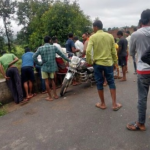 पुल के नीचे बरामद हुआ शव