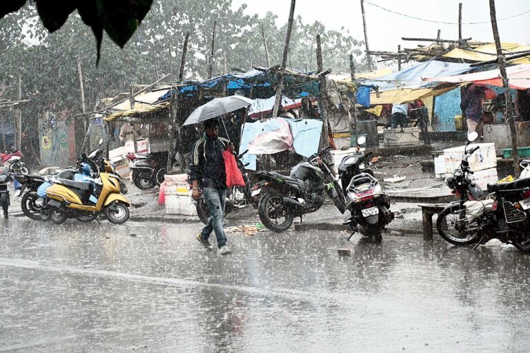 सामान्य वर्षा