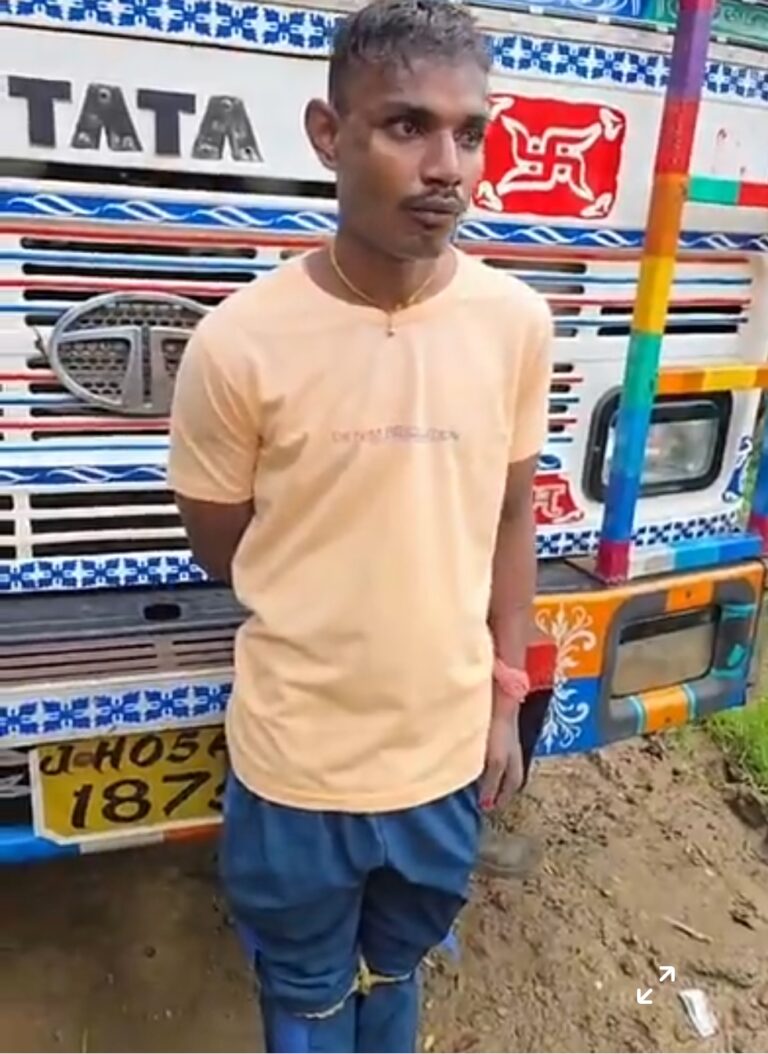 e riksha]
