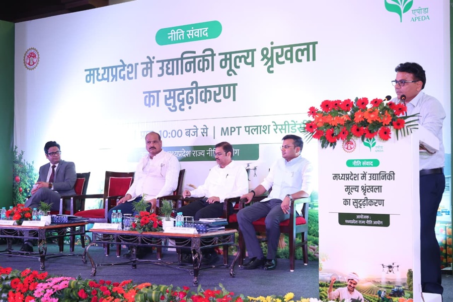 mp