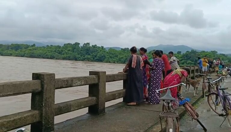 मगरमच्छ दिखने से मचा हड़कंप