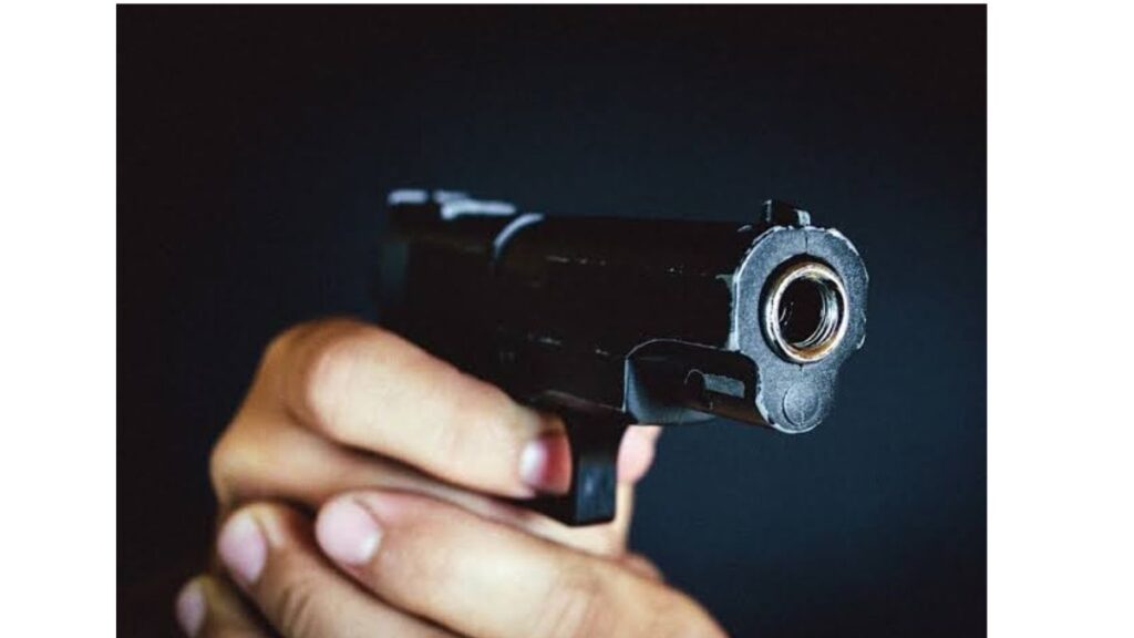 gun