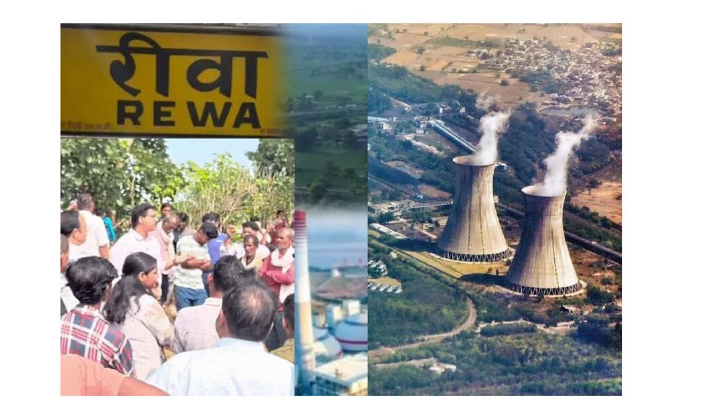 rewa
