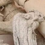 बांग्लादेश के तंगेल जिला में असामाजिक तत्वों ने दुर्गा पंडाल की सात मूर्तियां खंडित की
